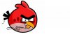 Project Angry Bird.jpg