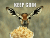 deer eating popcorn.gif
