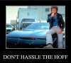 dont-hassle-the-hoff.jpg