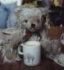Teddy Bear with coffee.jpg
