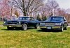 73 Buick Stage-1 and 87 Turbo Regal-1.jpg