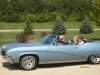 Ann's Bluebird.JPG