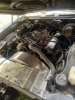 IMG_1205.jpeg