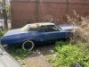 IMG_1203.jpeg
