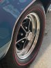 IMG_9445.jpeg