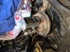 IMG_2653.jpeg